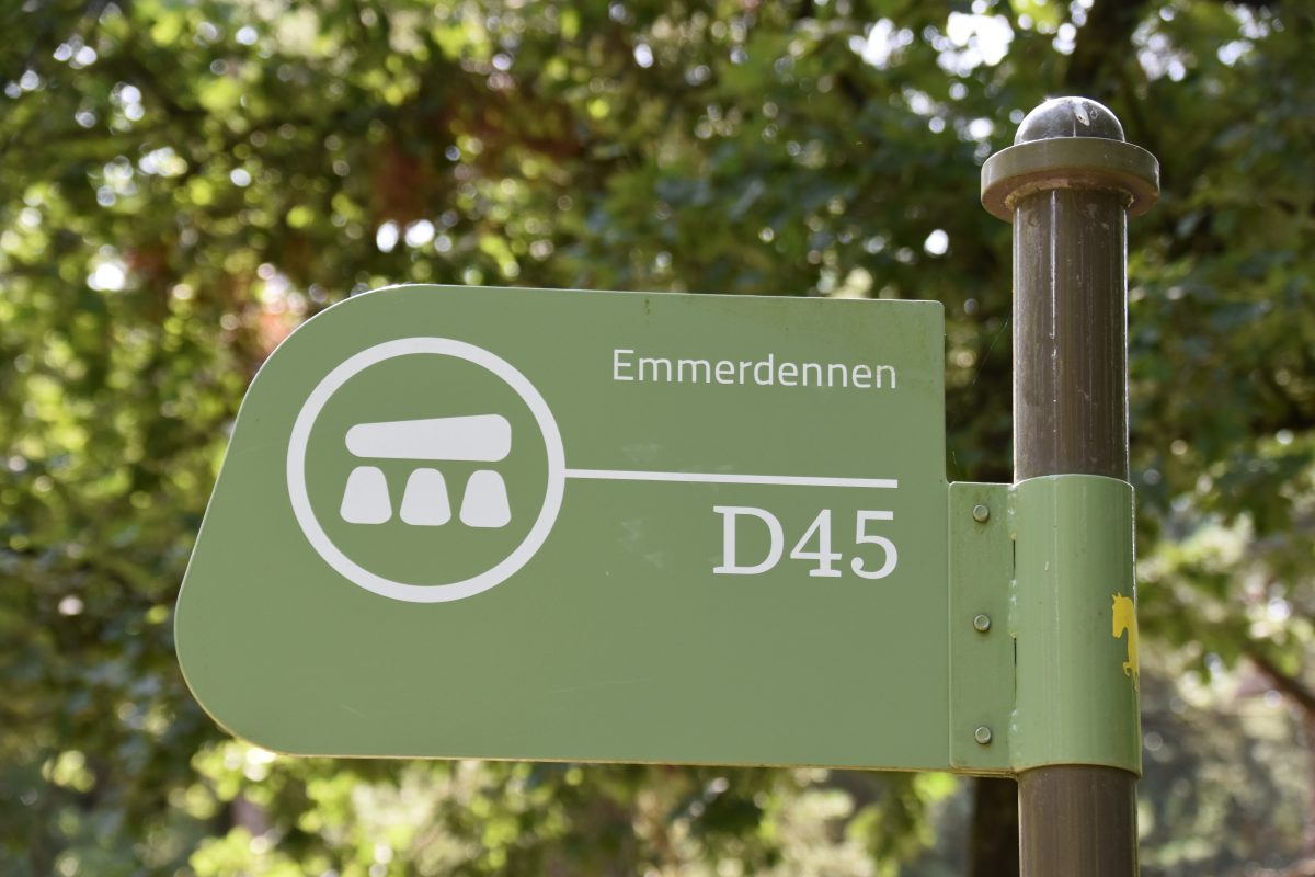 Hunebed D45, Hunebedden